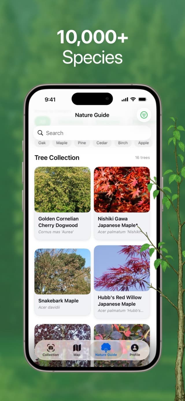 Search a guide with 10,000+ species