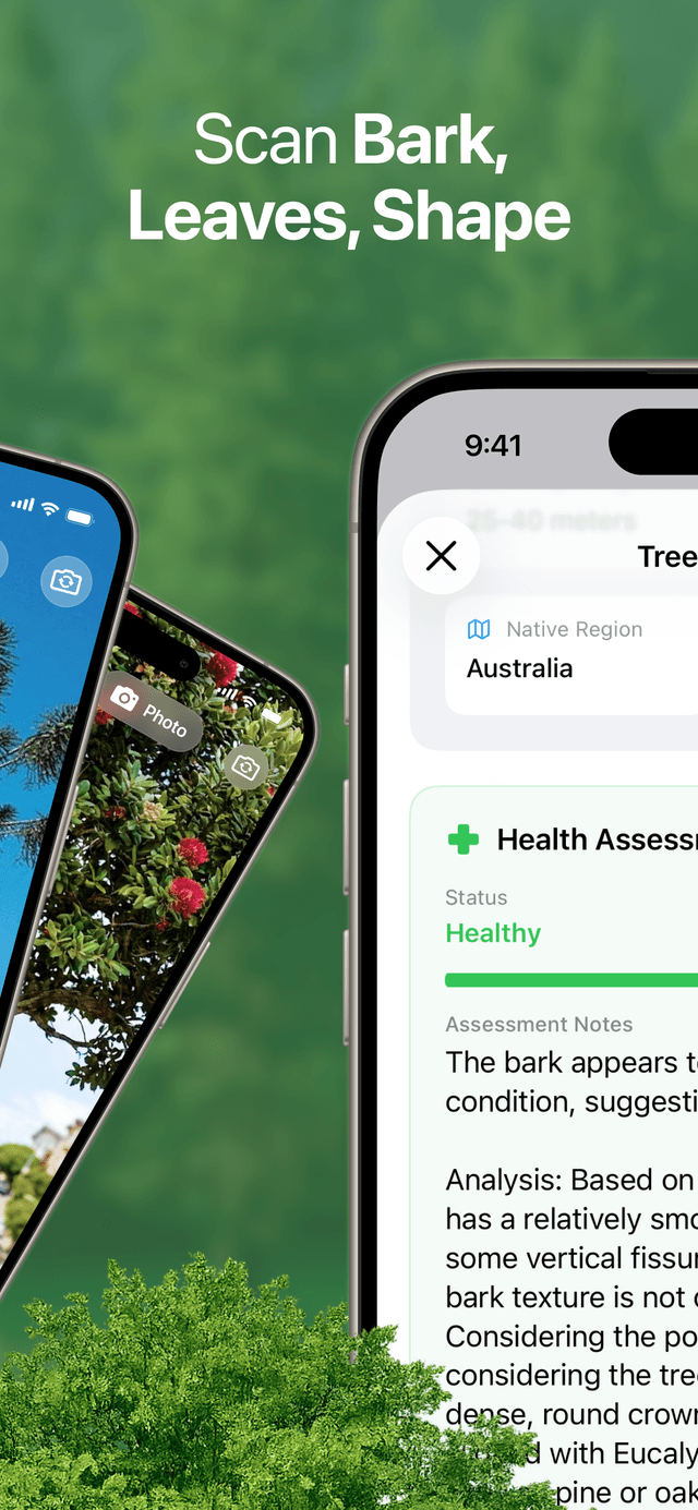 TreeBarkId tree details screenshot