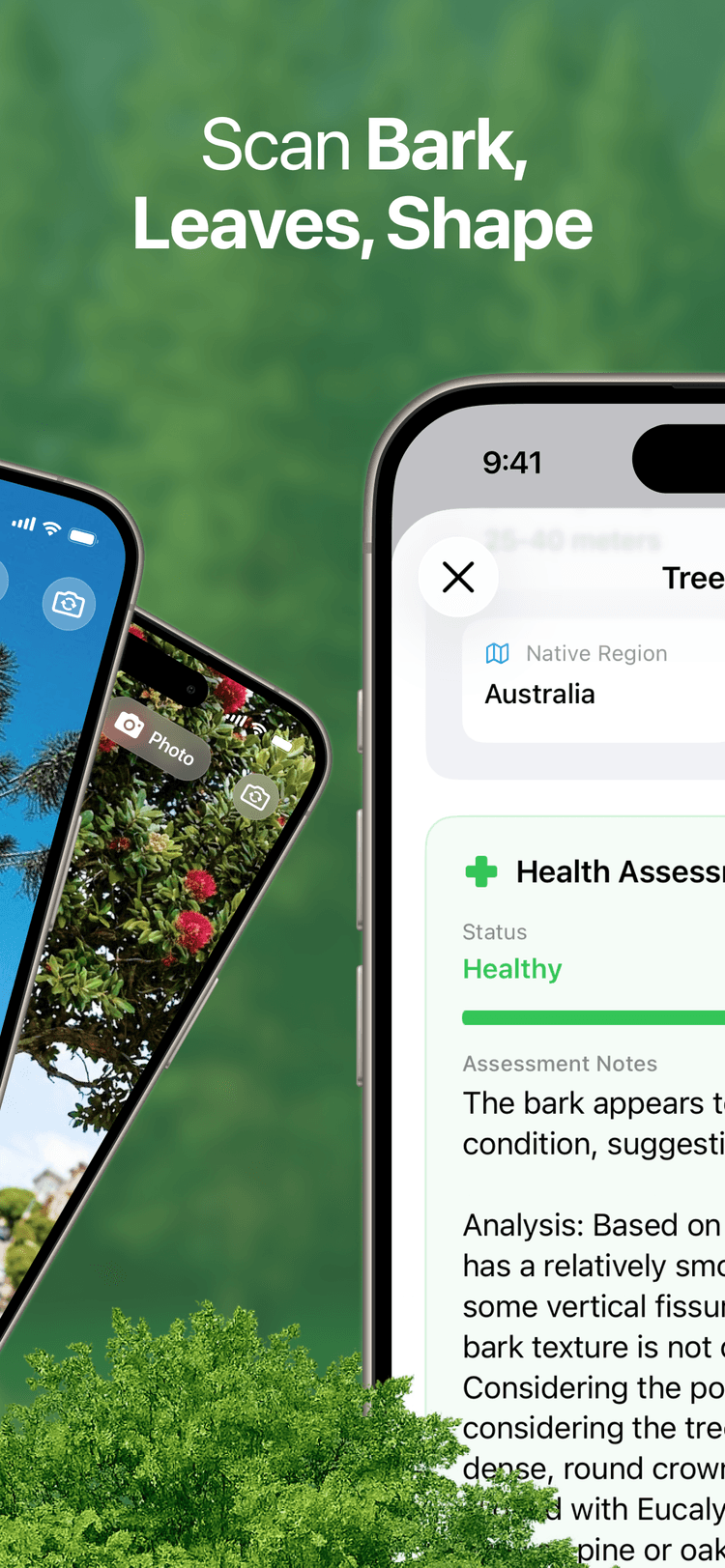 Read the tree in plain language