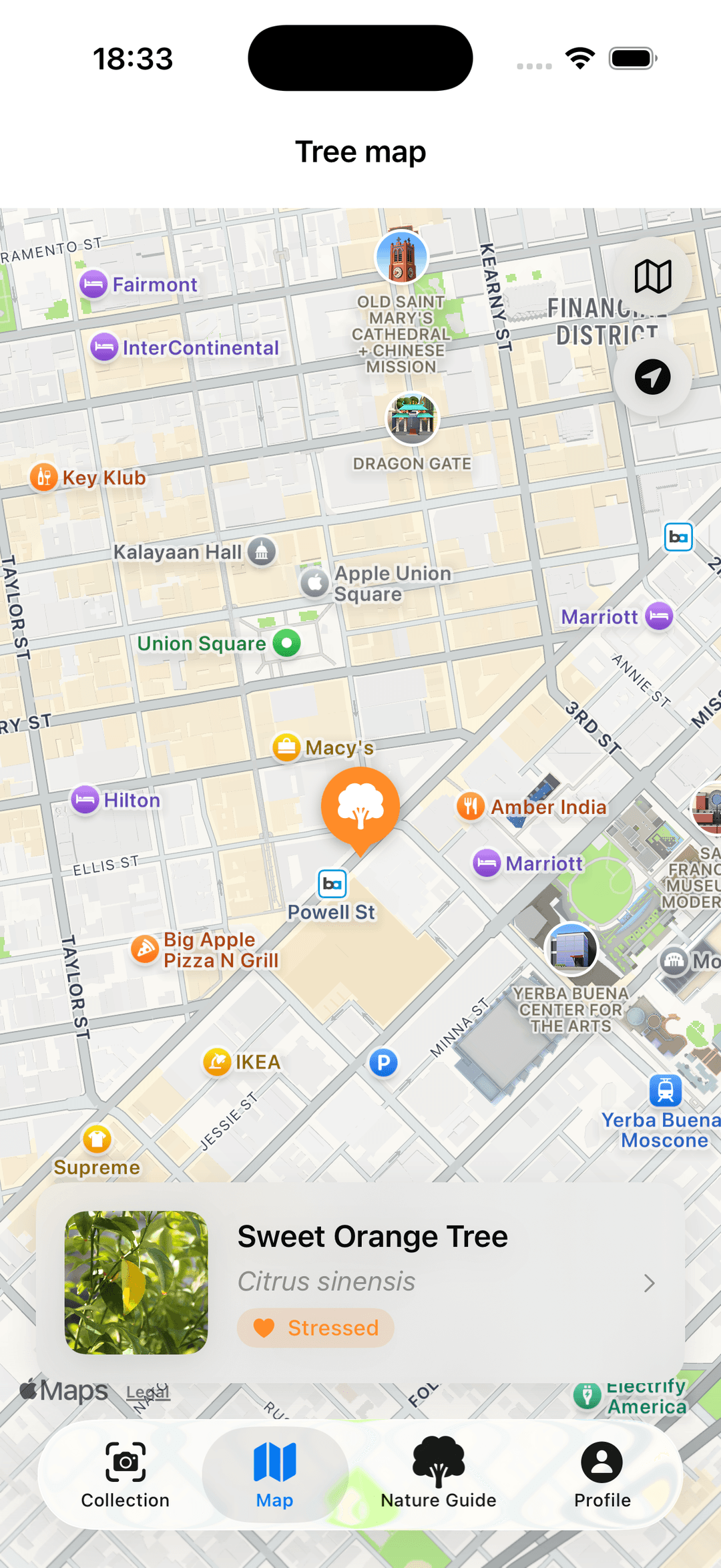 TreeBarkId tree health insights screen