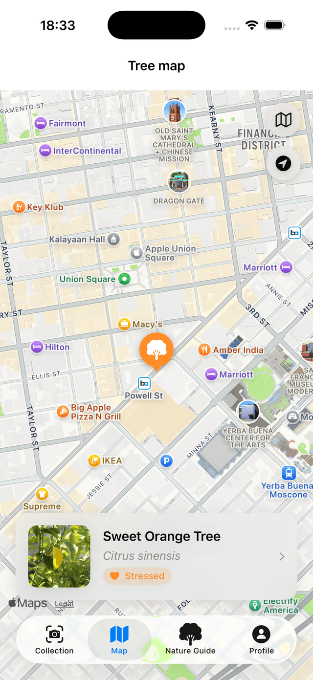 TreeBarkId app preview health insights