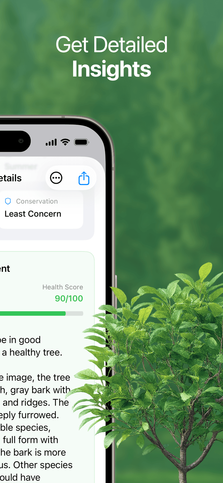 Get Detailed Insights