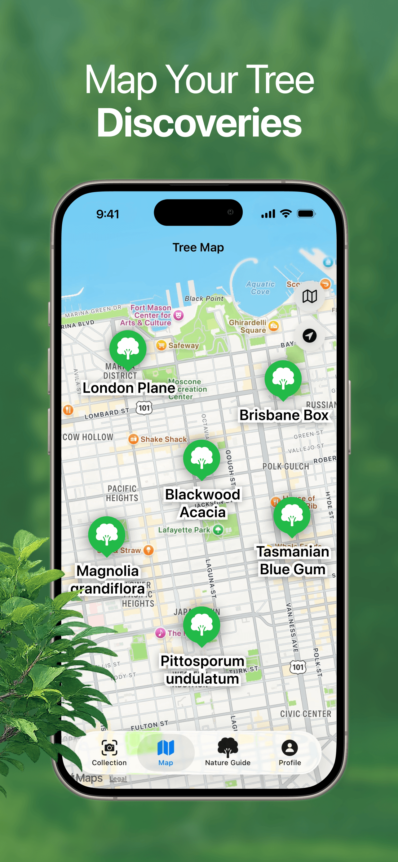 TreeBarkId map and field screen