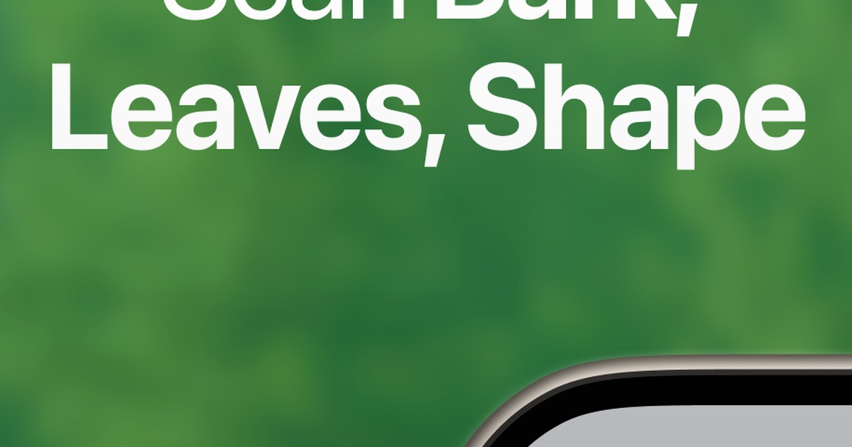 Plant and Tree Identification Clues for dry hillside routes cover image